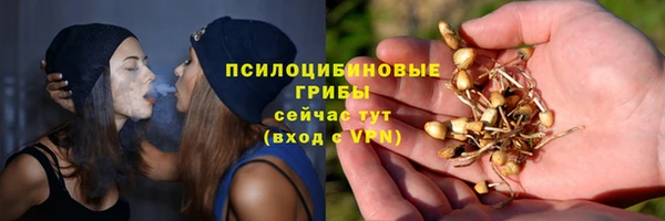 ECSTASY Вязьма
