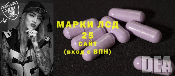 стаф Верея